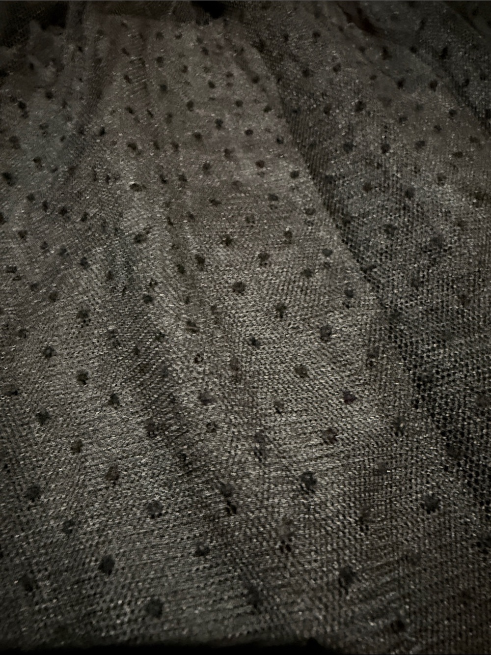 J. Crew Black Polka Dot Tulle Skirt - Picture 3 of 3